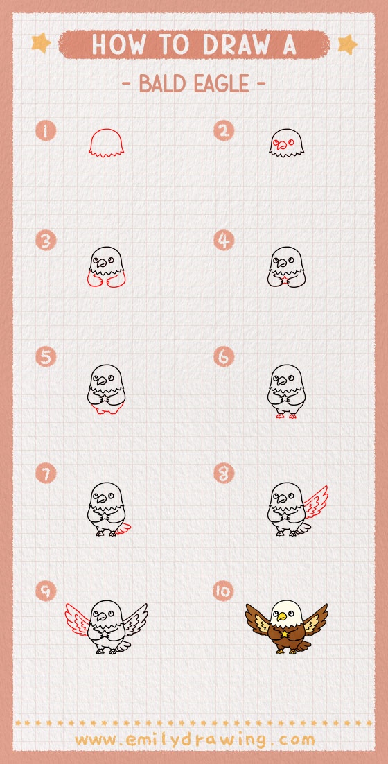 how to draw a bald eagle pinterest pin